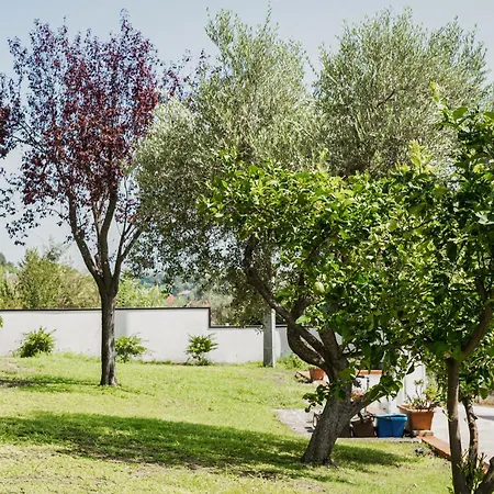 Il Segreto Dei Viaggiatori - Roma