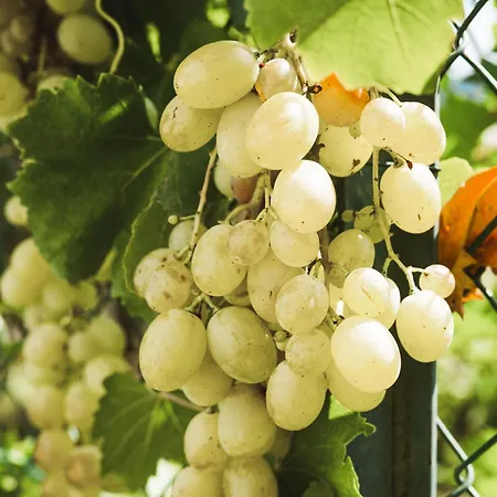 Il Segreto Dei Viaggiatori - Roma Apartment *