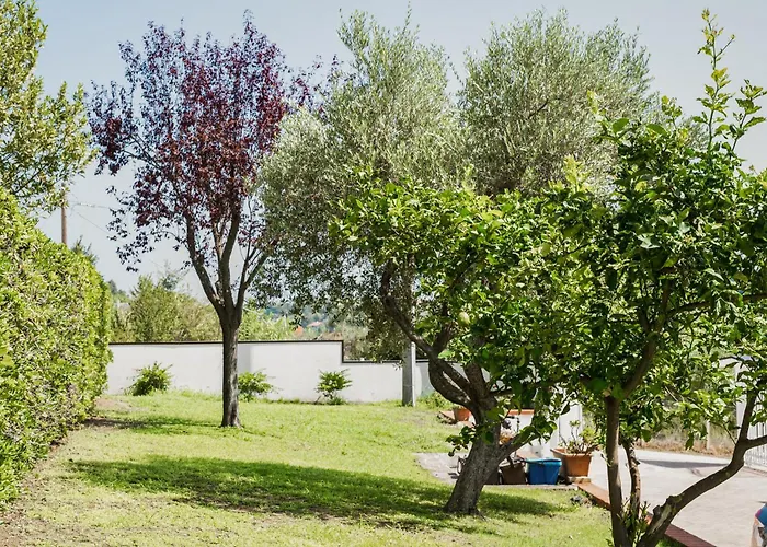 Il Segreto Dei Viaggiatori - Roma