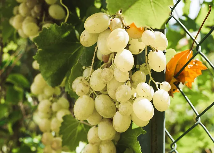 Il Segreto Dei Viaggiatori - Roma Apartment *